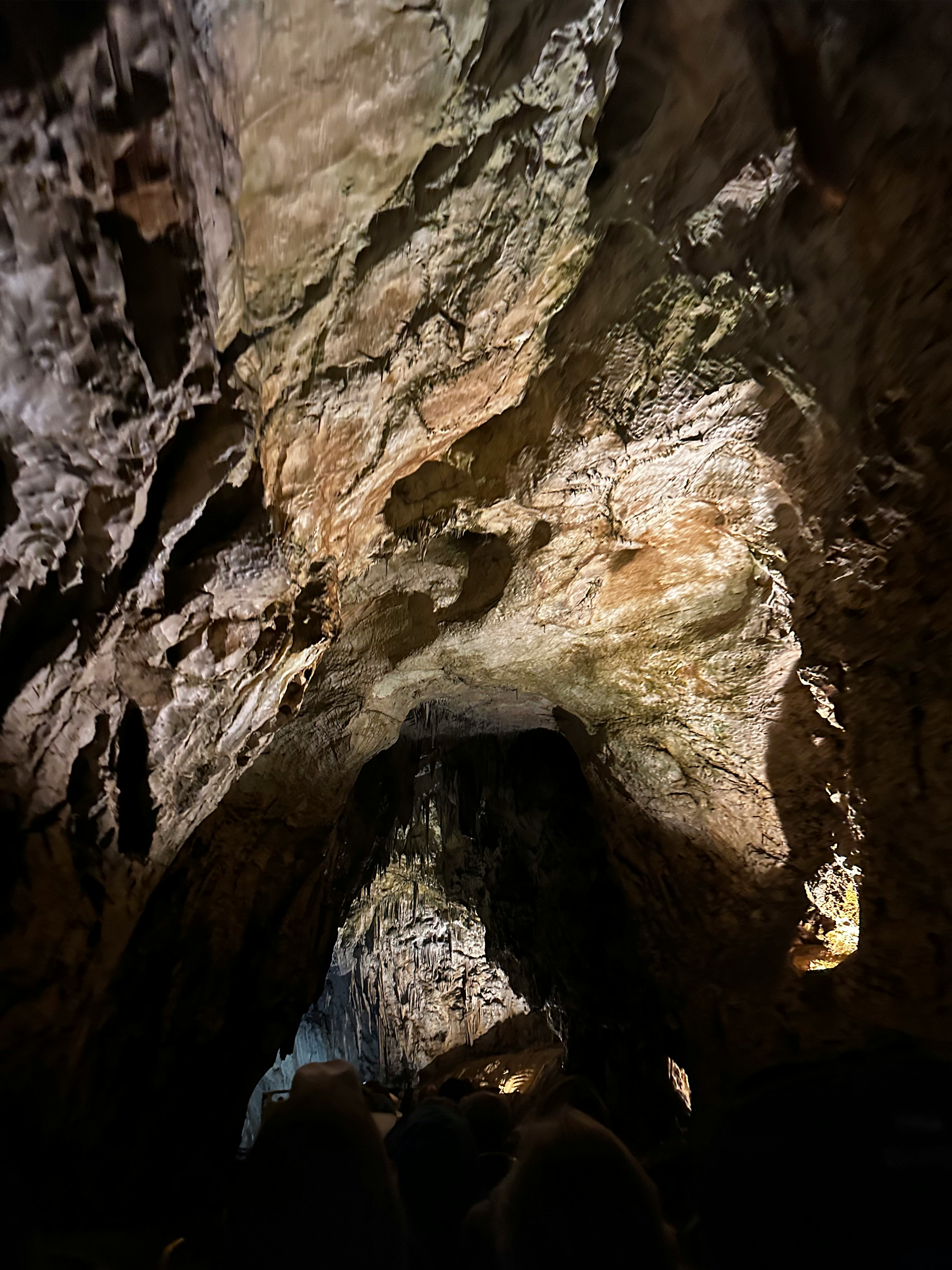 슬로베니아의 포스토이나 동굴(Postojna Cave)