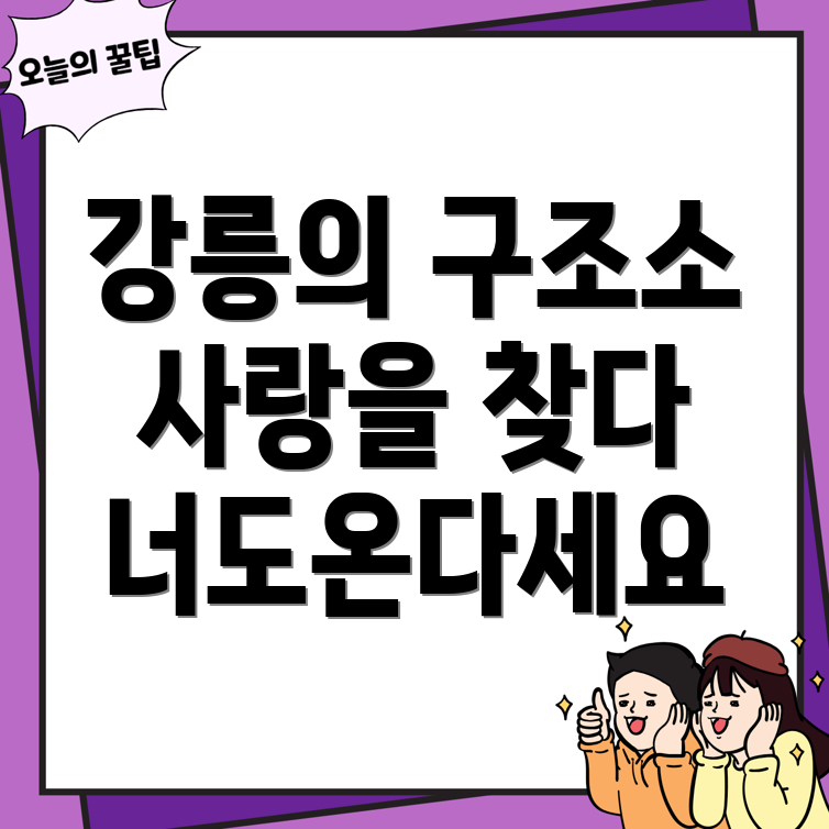 강릉 반려동물 보호소