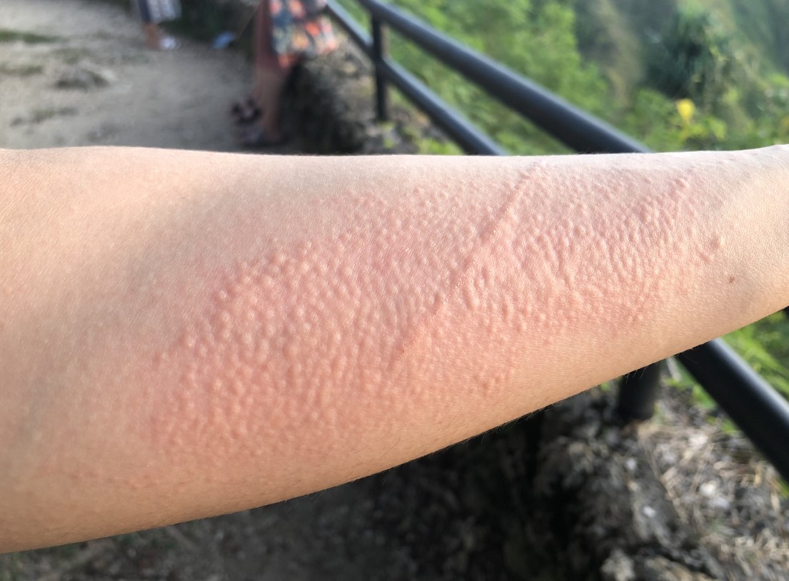 괌 호텔 추천, 관광지 추천