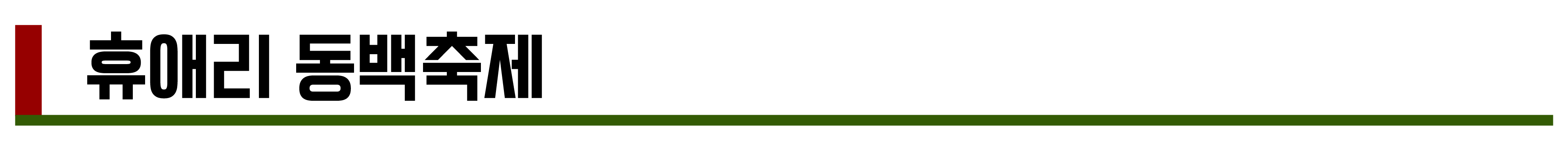 2024년 11월, 12월 축제 총정리