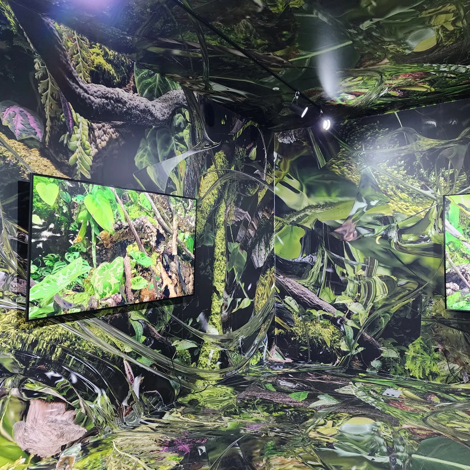 부산 뮤지엄원 전시, 신화 시작하는 이야기