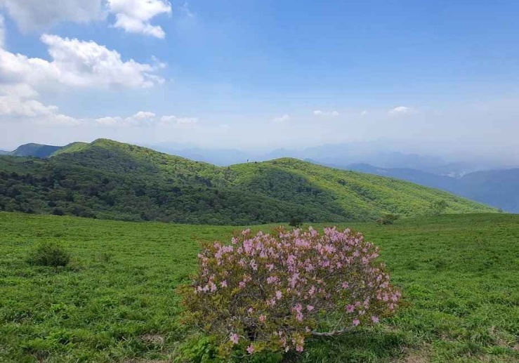 소백산