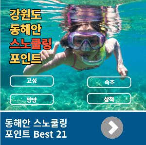 동해안 스노쿨링 포인트 Best 27곳