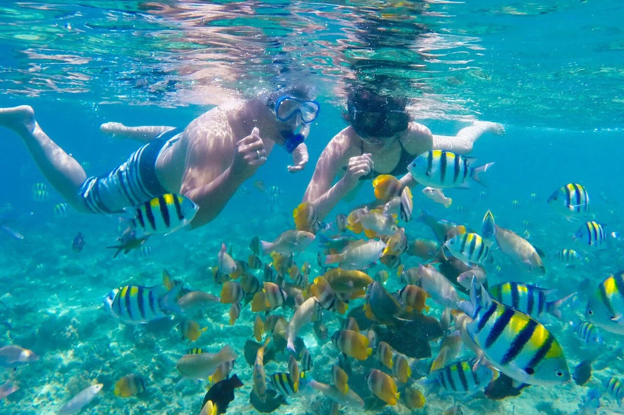 나트랑호핑투어스노쿨링