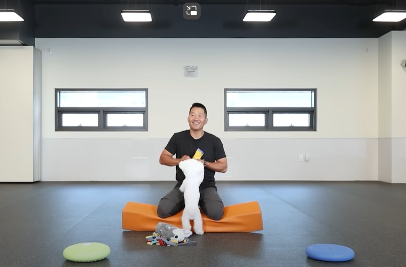 개훌륭 잠정 폐지, 강형욱 복귀 근황까지 [제작진 입장]