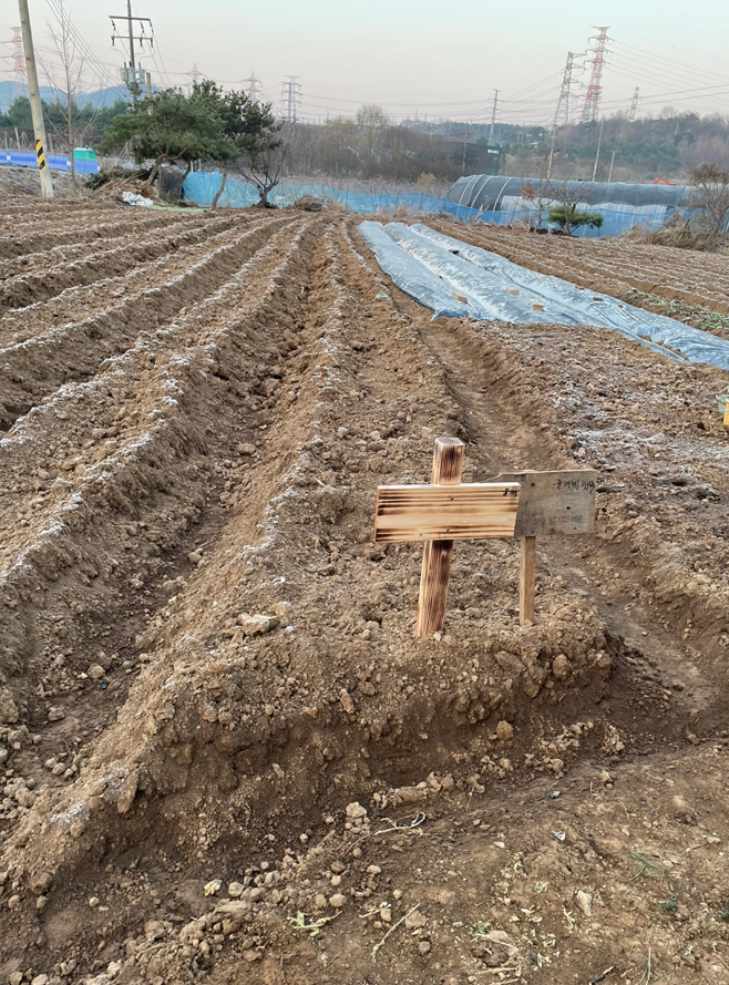 주말농장분양