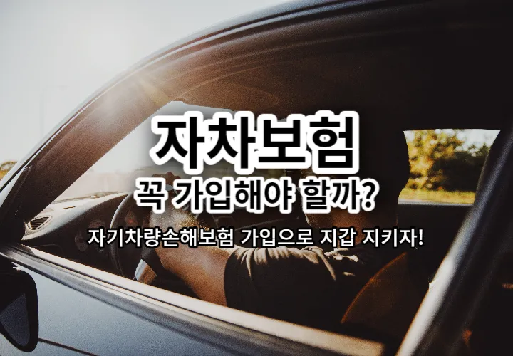 자동차보험 자차 꼭 넣어야 할까