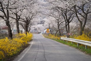 화담숲 예약 5
