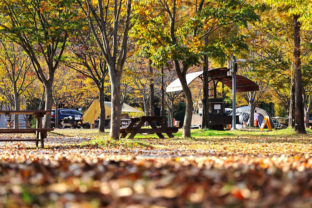 경기도 안성맞춤캠핑장 소개