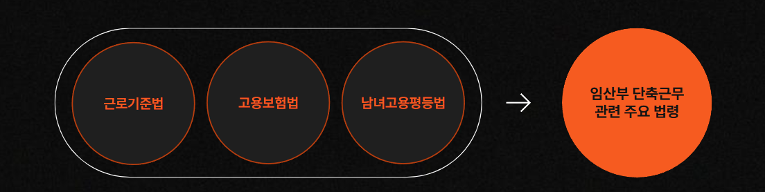 관련 법령과 제도