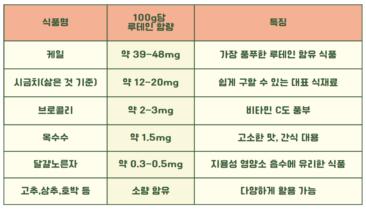 루테인 지아잔틴 효능 추천 식단구성 팁