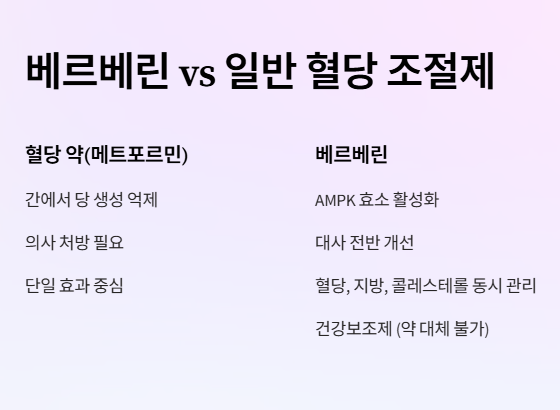 베르베린 vs 일반 혈당 조절제&amp;#44; 뭐가 다를까?