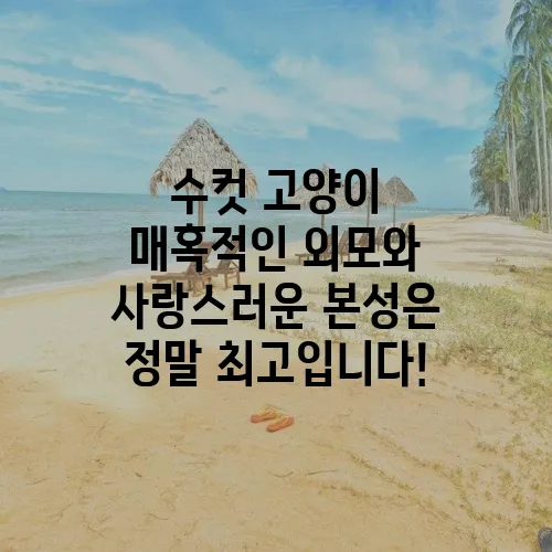 수컷 고양이 매혹적인 외모와 사랑스러운 본성은 정말 최고입니다!