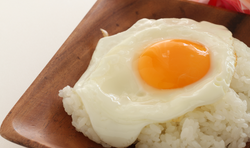 단백질이 많은 음식