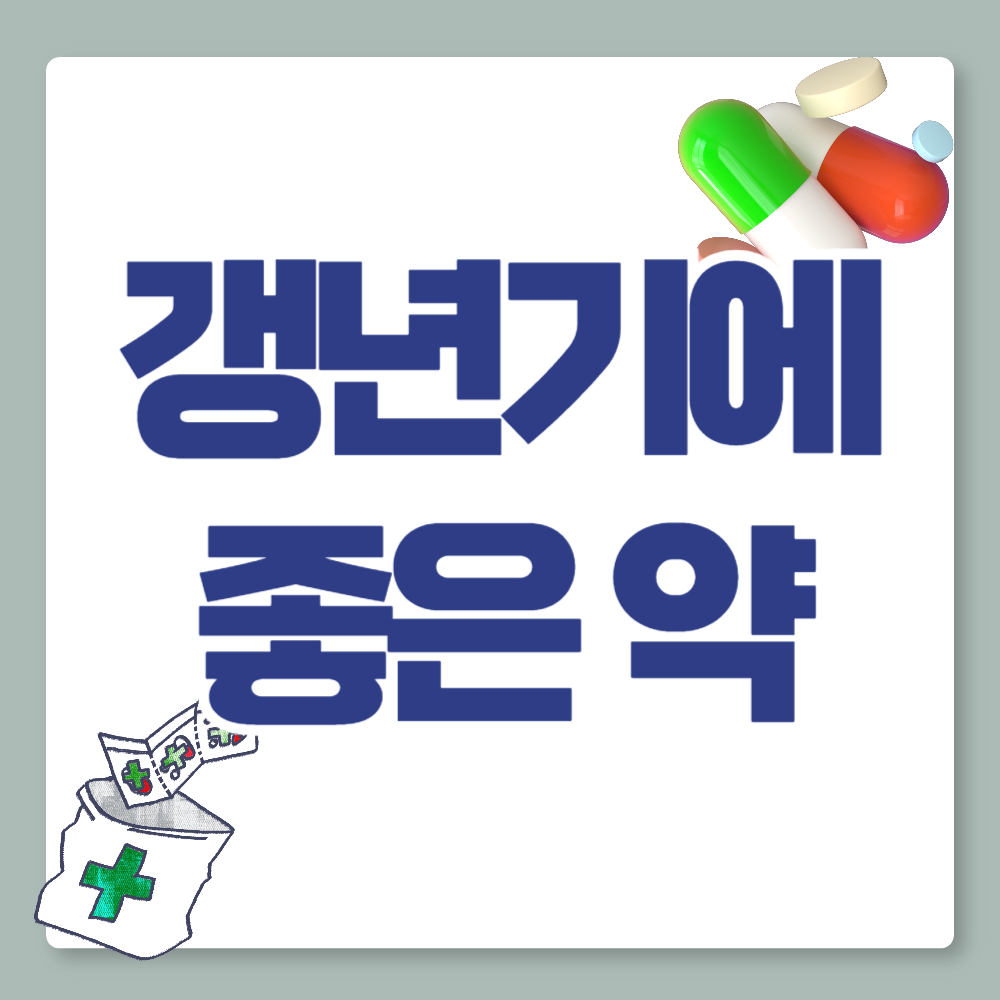 갱년기에 좋은 약