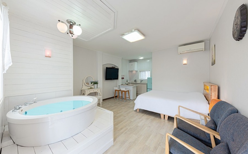 아이리스 펜션 수체화 타입