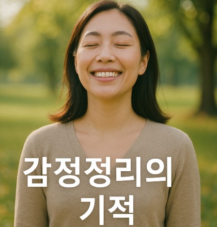 감정정리의 기적 (내면정화, 스트레스해소, 뇌 휴식)