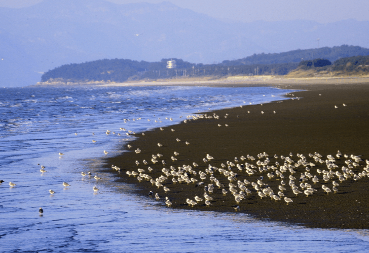 구시포 해수욕장