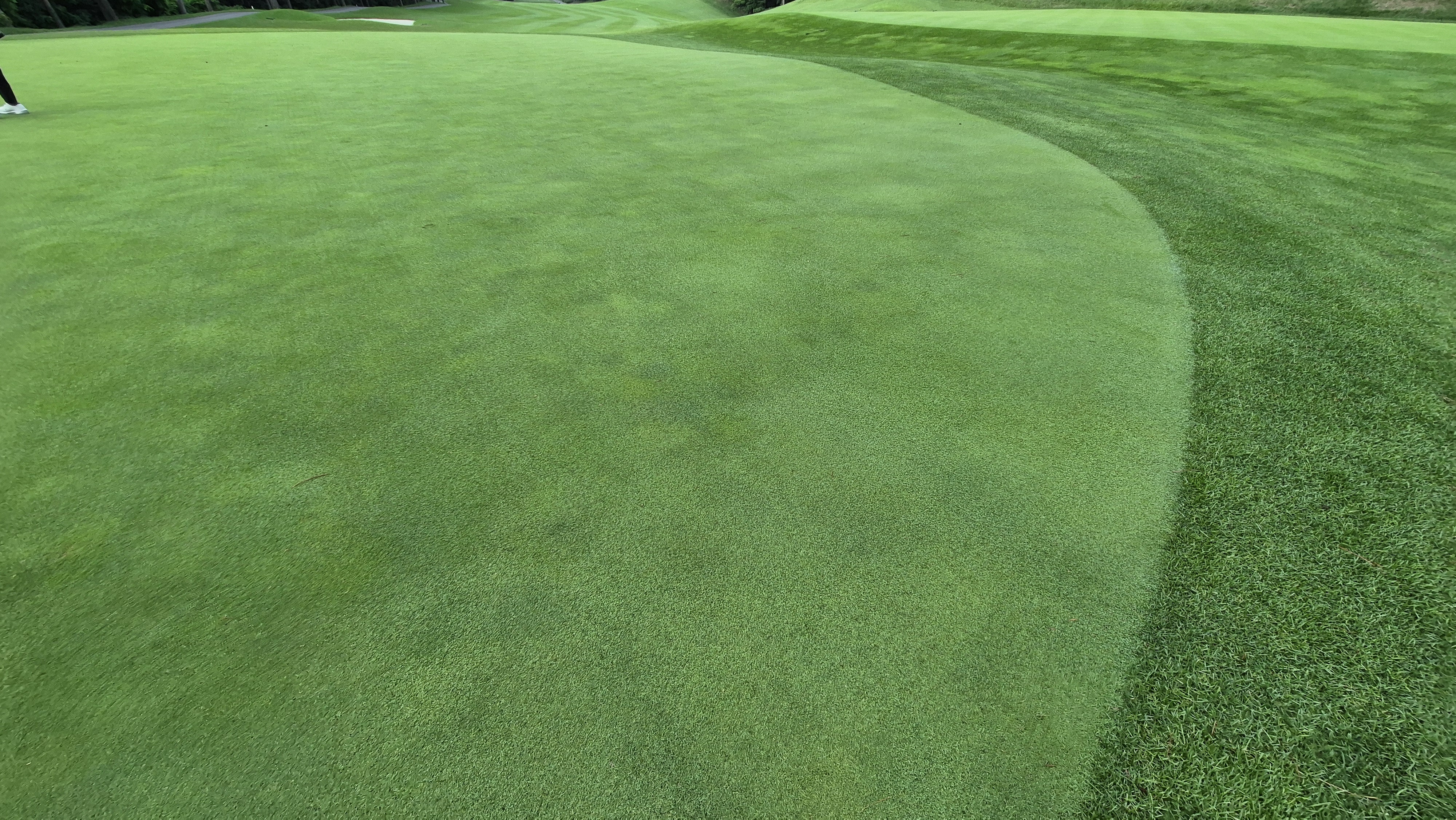 한성cc 오렌지-그린 코스 라운드 후기