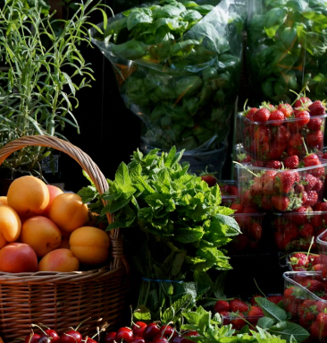 콩나물 효능 부작용 숙취 칼로리