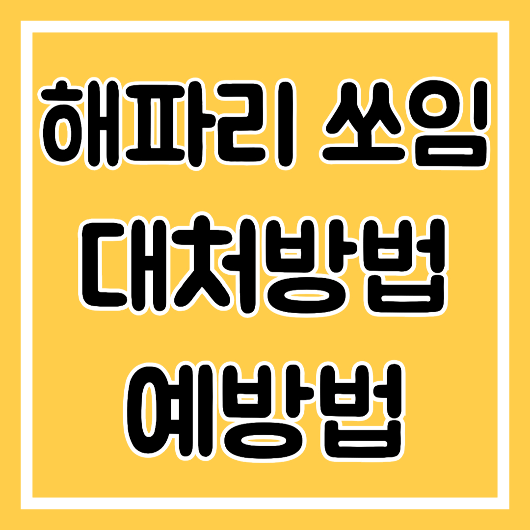 해파리 쏘임 대처방법 예방법 알아보기