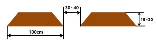 마늘 밭 만들기