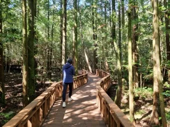 걷기좋은 숲길 50 서울 전남 경북_28