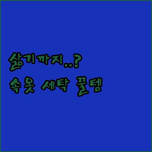 속옷 양말 전용 미니 세탁기 추천 및..