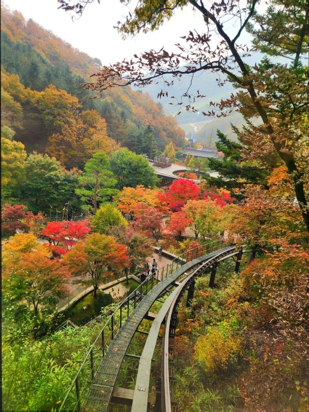 화담숲 에약 정보