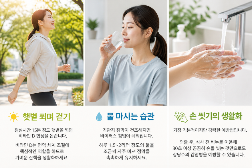 면역력을 높이는 건강한 생활 습관 가이드