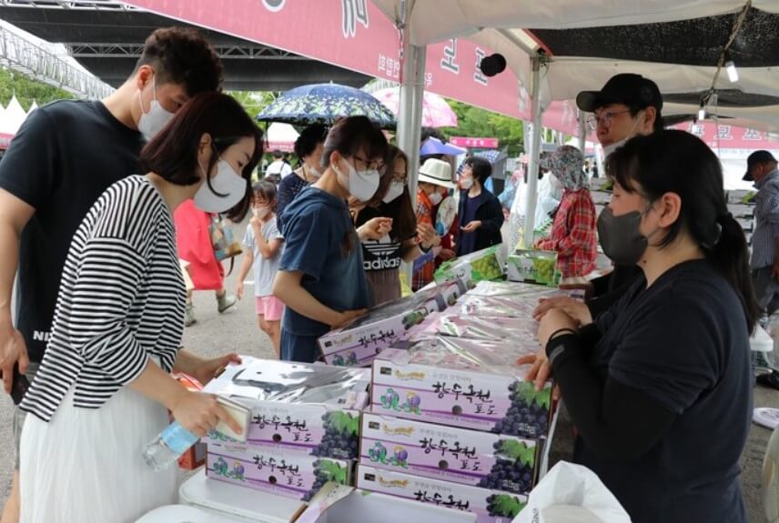 제15회-향수옥천포도복숭아축제