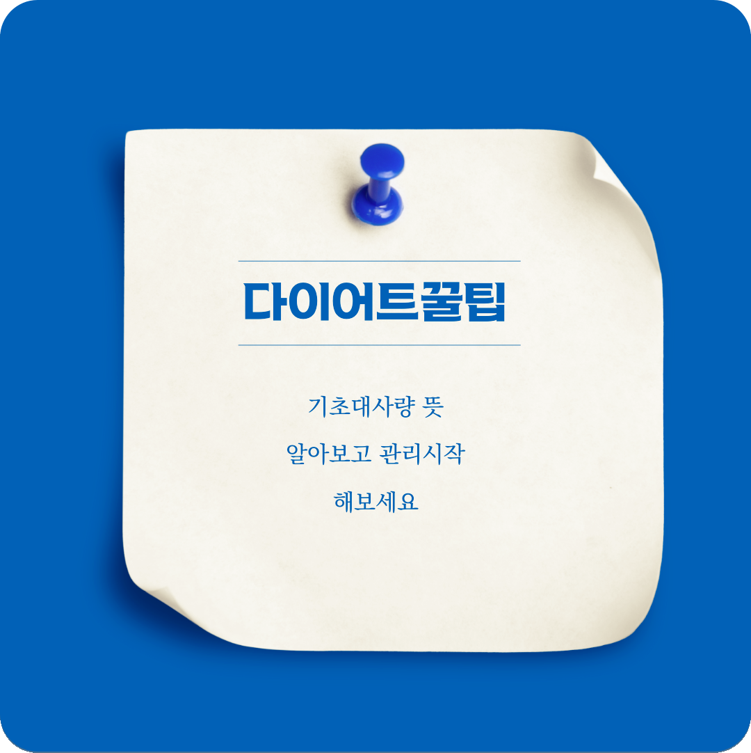 기초대사량 뜻 알아보고 관리 시작해보세요