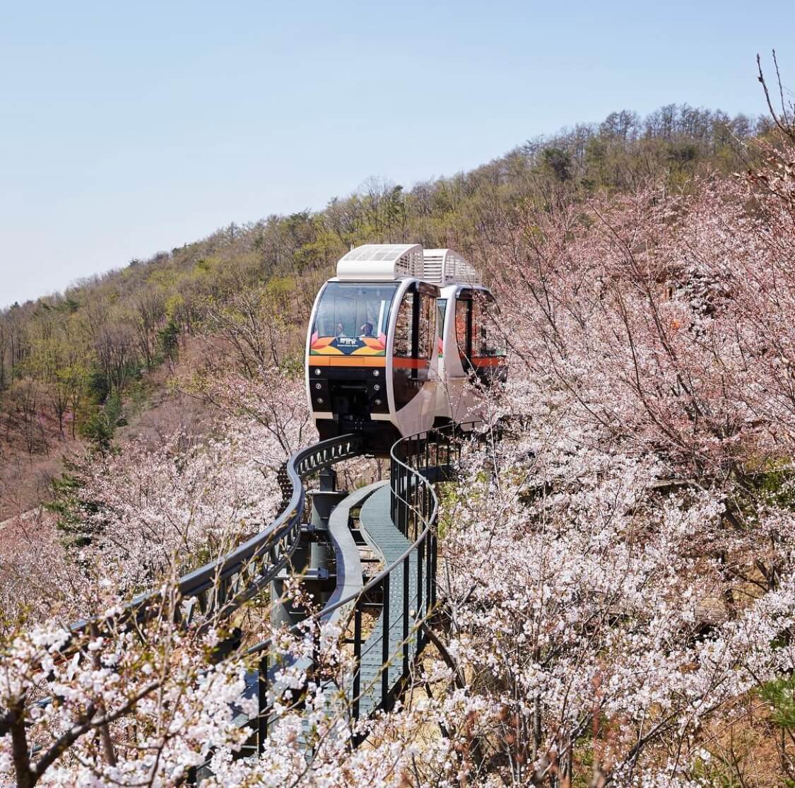 화담숲 모노레일