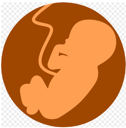 출산휴가 급여 신청 &amp;#44; 자격조건 자세히 알아보기!