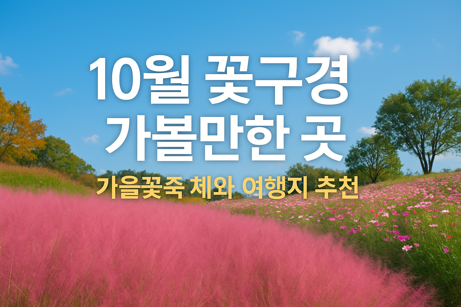 10월 꽃구경 가볼만한 곳