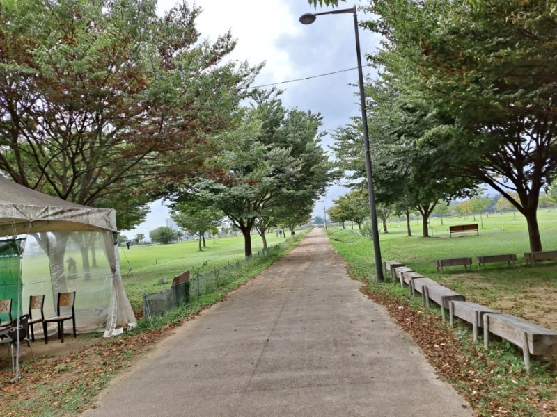 충청남도 백마강 생활체육공원 파크골프장 소개 (부여파크골프장)