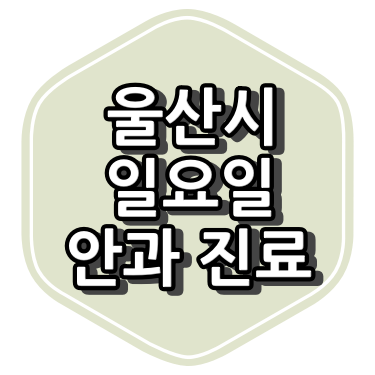 울산시 안과 정보