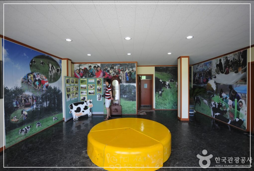 임실 가볼만한곳 베스트10 임실 치즈마을