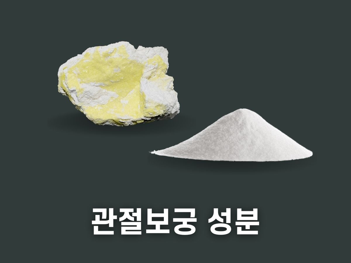 관절보궁 성분