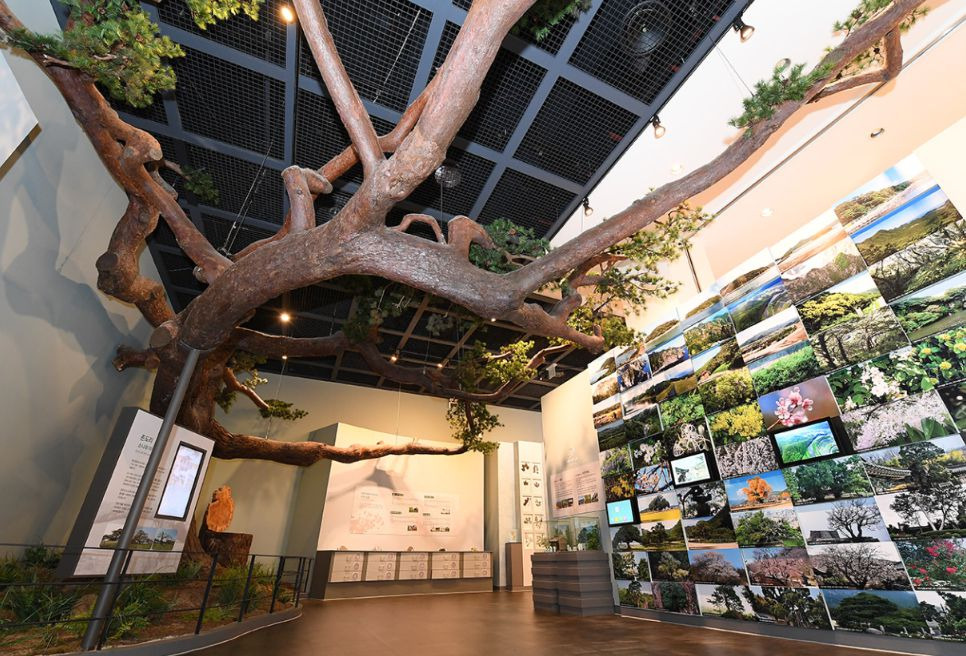 천연기념물센터