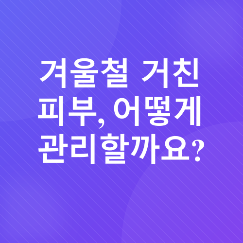 바디스파_1