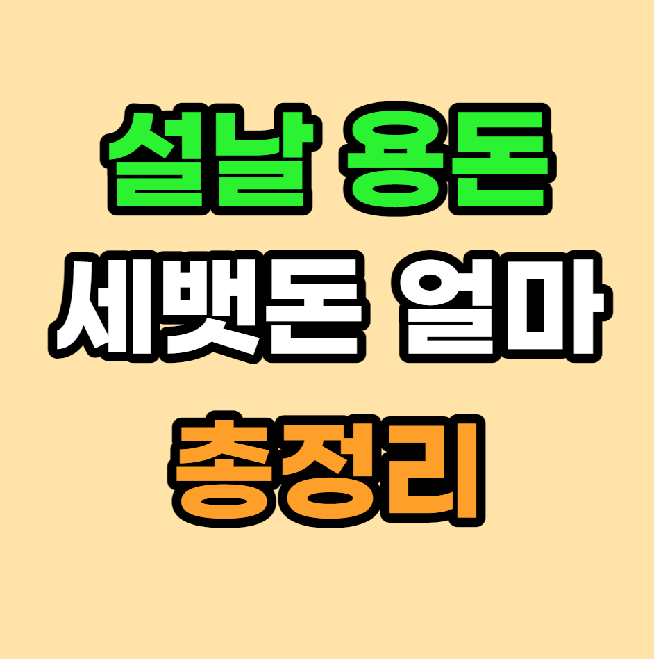 설날 세배돈 부모님용돈 총정리