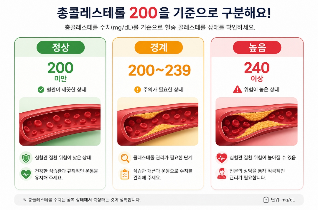 총콜레스테롤 수치 200을 기준, 혈중콜레스테롤 상태 확인