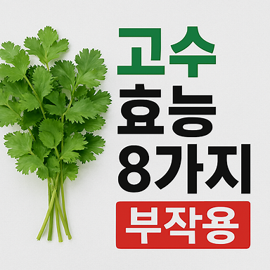 고수 효능 8가지와 부작용, 알레르기 및 부작용, 보관 방법!