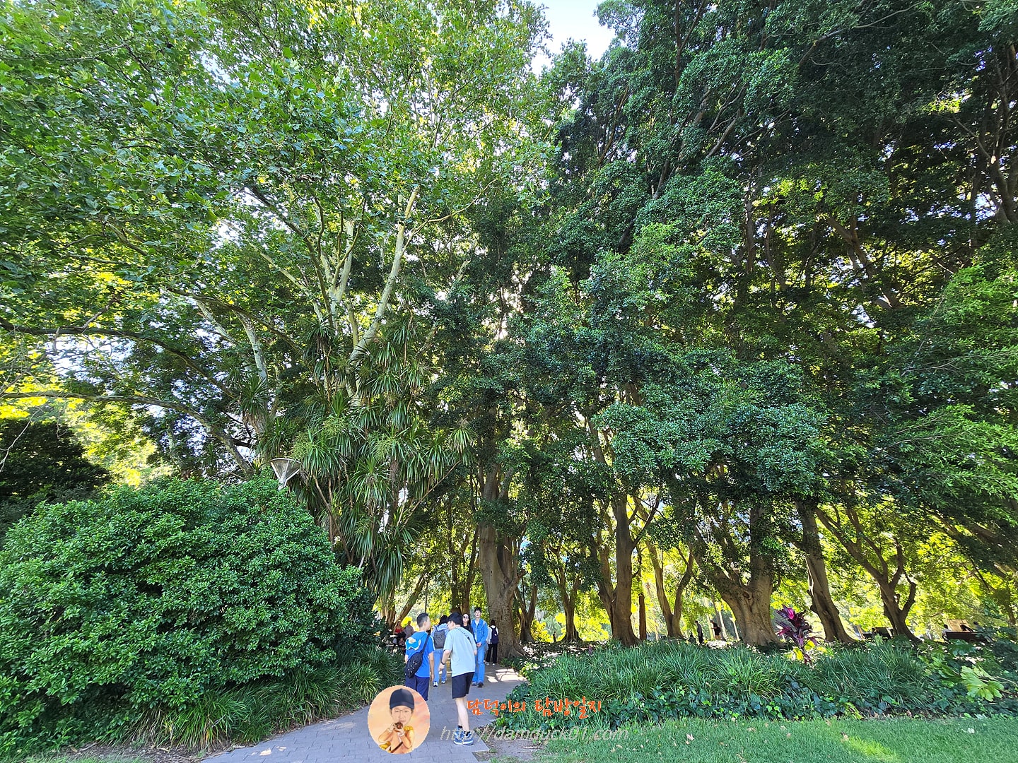 Cook + Phillip Park
