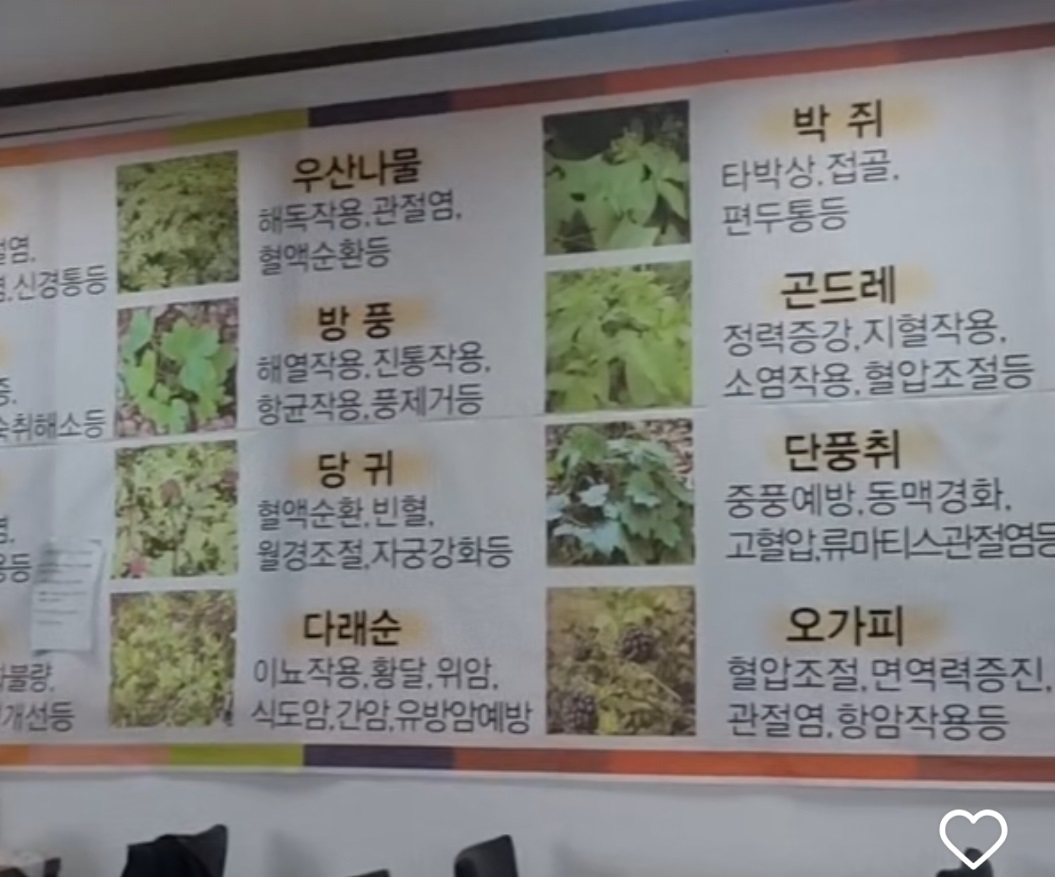 6시내고향-남원-산채정식