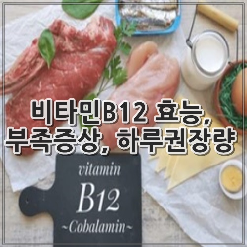 비타민B12 효능, 부족증상, 하루권장량
