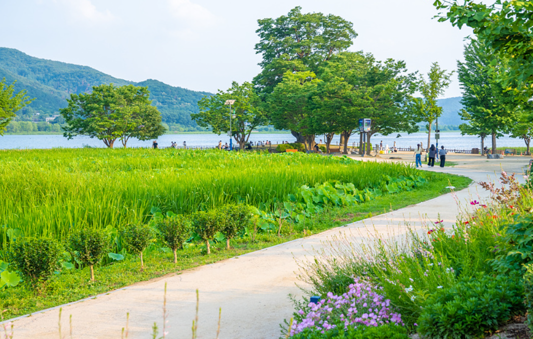 양평의 두물머리