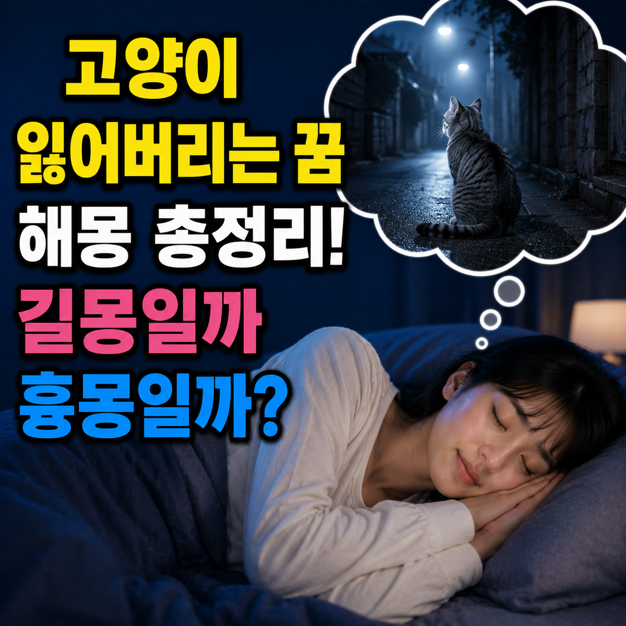 고양이 잃어버리는 꿈
