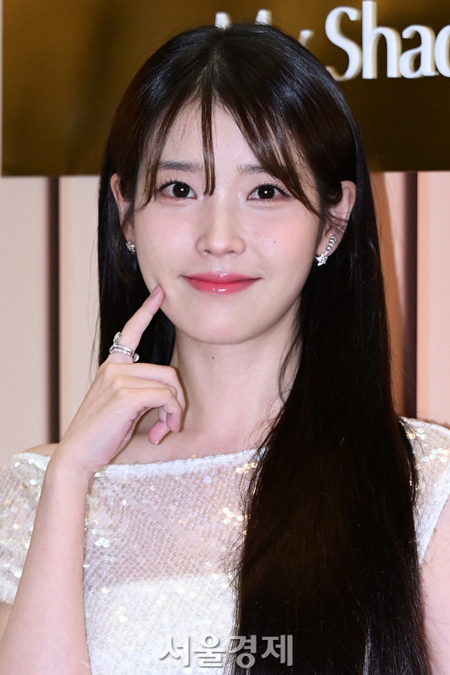 아이유 탄핵집회